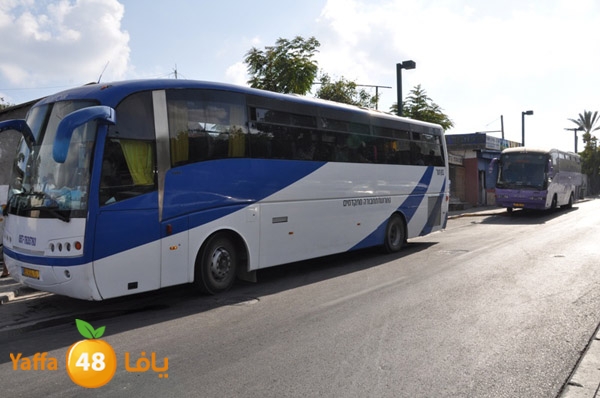 byareq 2 busses (1).JPG